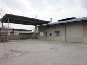 IMG_4447